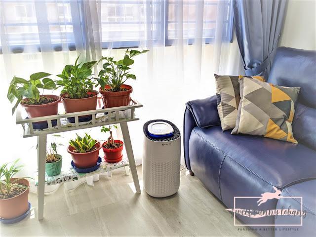 Sterra Breeze Air Purifier Review* 1 a room with a couch and a blue couch and a blue sofa
