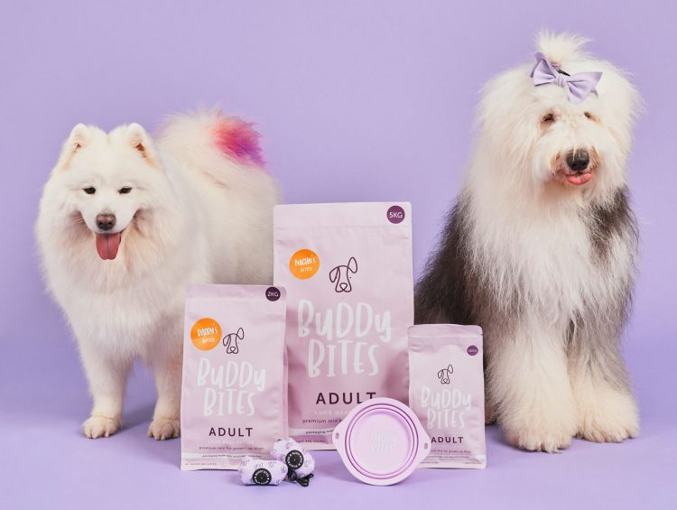 Introducing Buddy Bites: Nutrition for Your Furry Companion* 1 two fluffy dogs standing next to each other