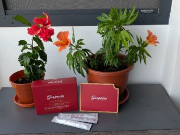 Gorgeous by KlaritySG™ Bioactive Collagen Peptides supplement box, sachets, and brochure displayed beside potted hibiscus flowers.