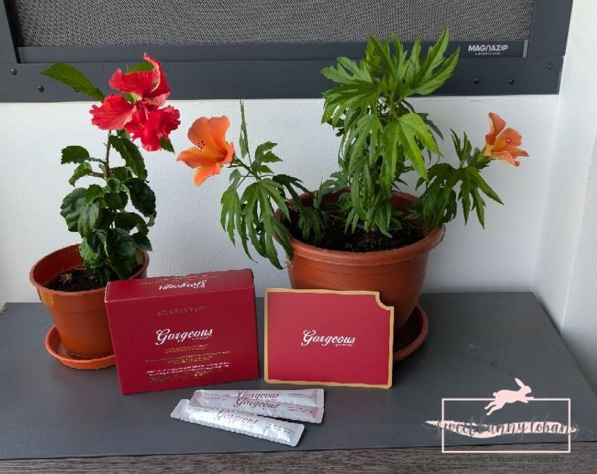 Gorgeous by KlaritySG™ Bioactive Collagen Peptides supplement box, sachets, and brochure displayed beside potted hibiscus flowers.